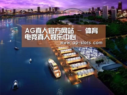 案例展示八