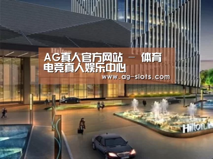 案例展示二