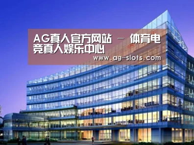 案例展示五