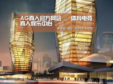 案例展示三