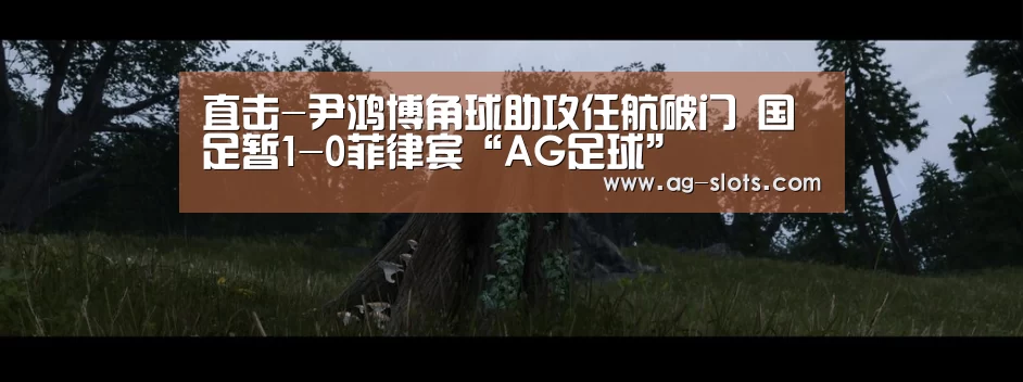 AG体育
