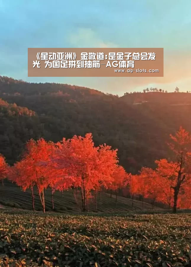 《星动亚洲》金敬道:是金子总会发光 为国足拼到抽筋-AG体育(图2) AG赛事