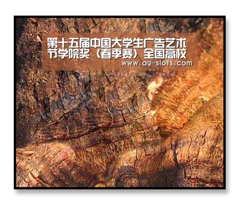 AG足球